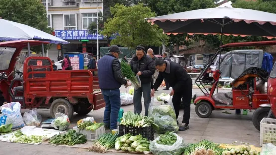 春菜抢“鲜”入市 市民尽享春日美味