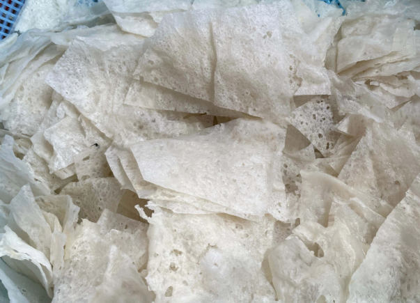 汕头觅食记之唇齿间的百年潮味