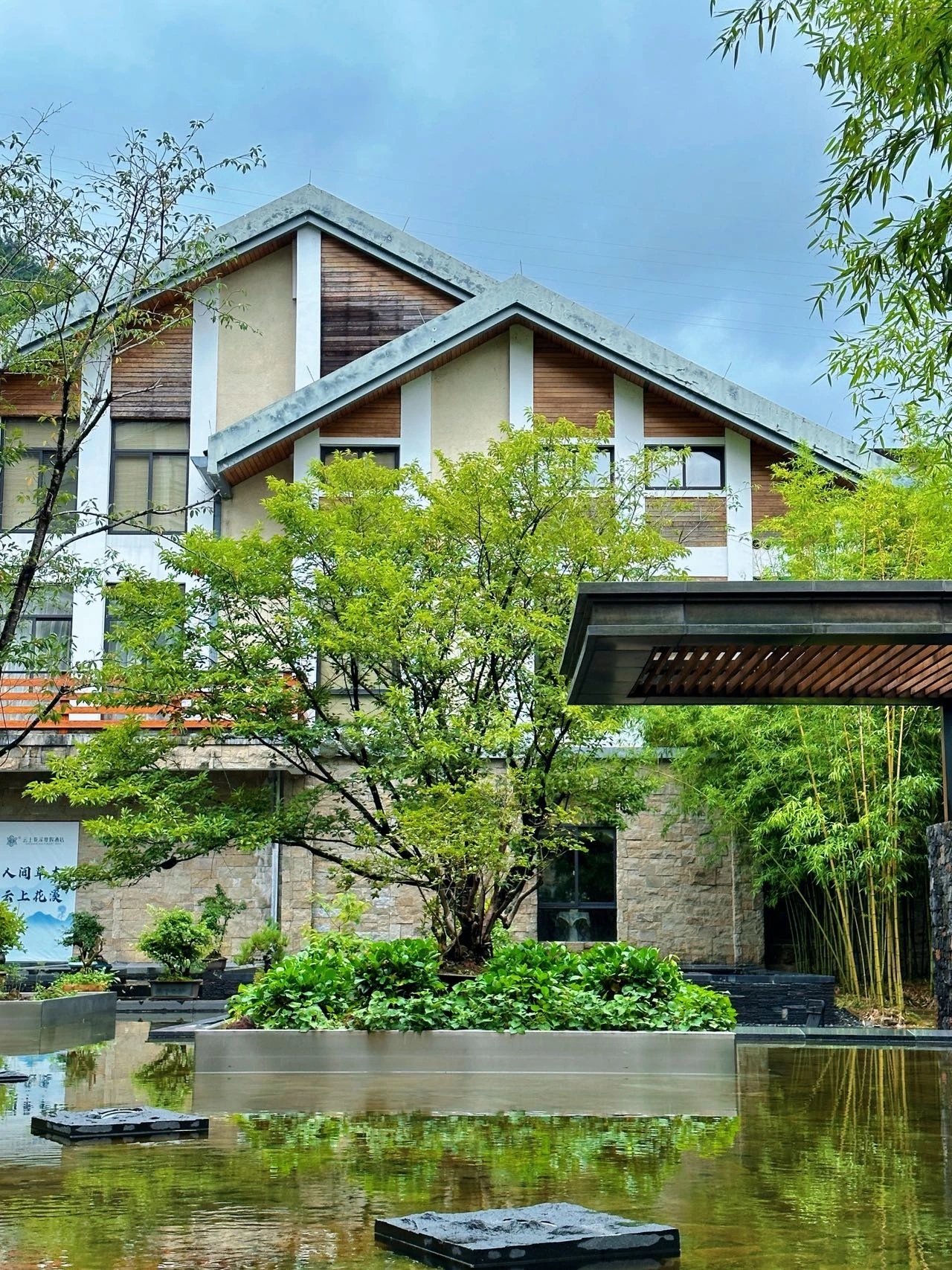 酒店私藏药膳坊,食材为养,食以安身润日常