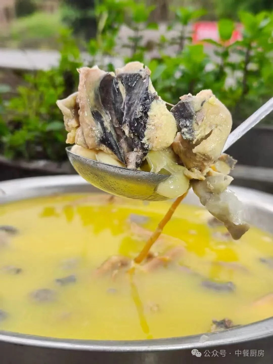 当餐酒楼特色菜,镇店之宝