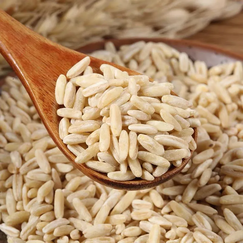 当餐优选食材裸燕麦胚芽米,边煮边发芽,有草原药粮之称!