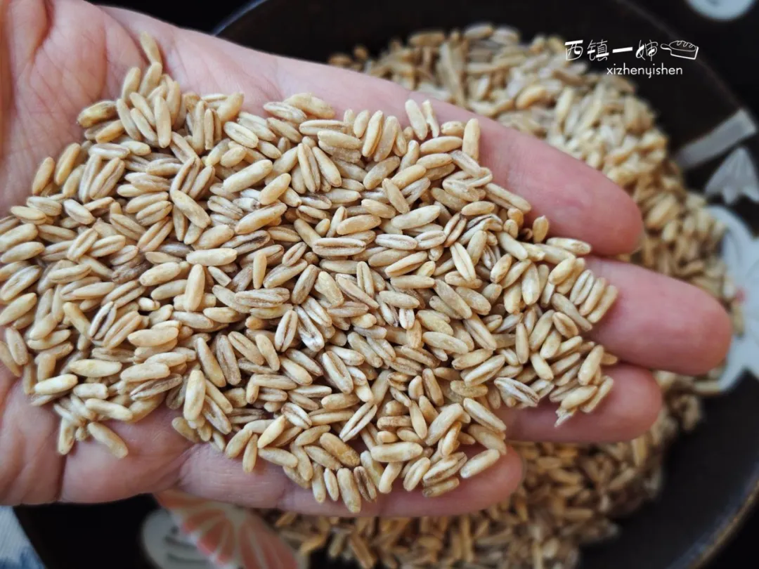 当餐优选食材裸燕麦胚芽米,边煮边发芽,有草原药粮之称!