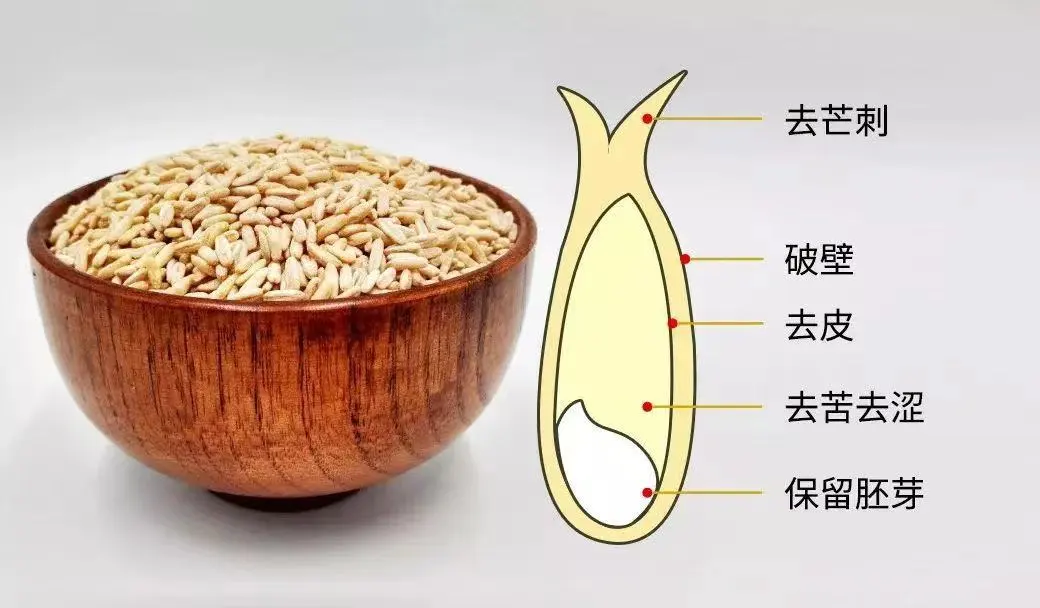 当餐优选食材裸燕麦胚芽米,边煮边发芽,有草原药粮之称!