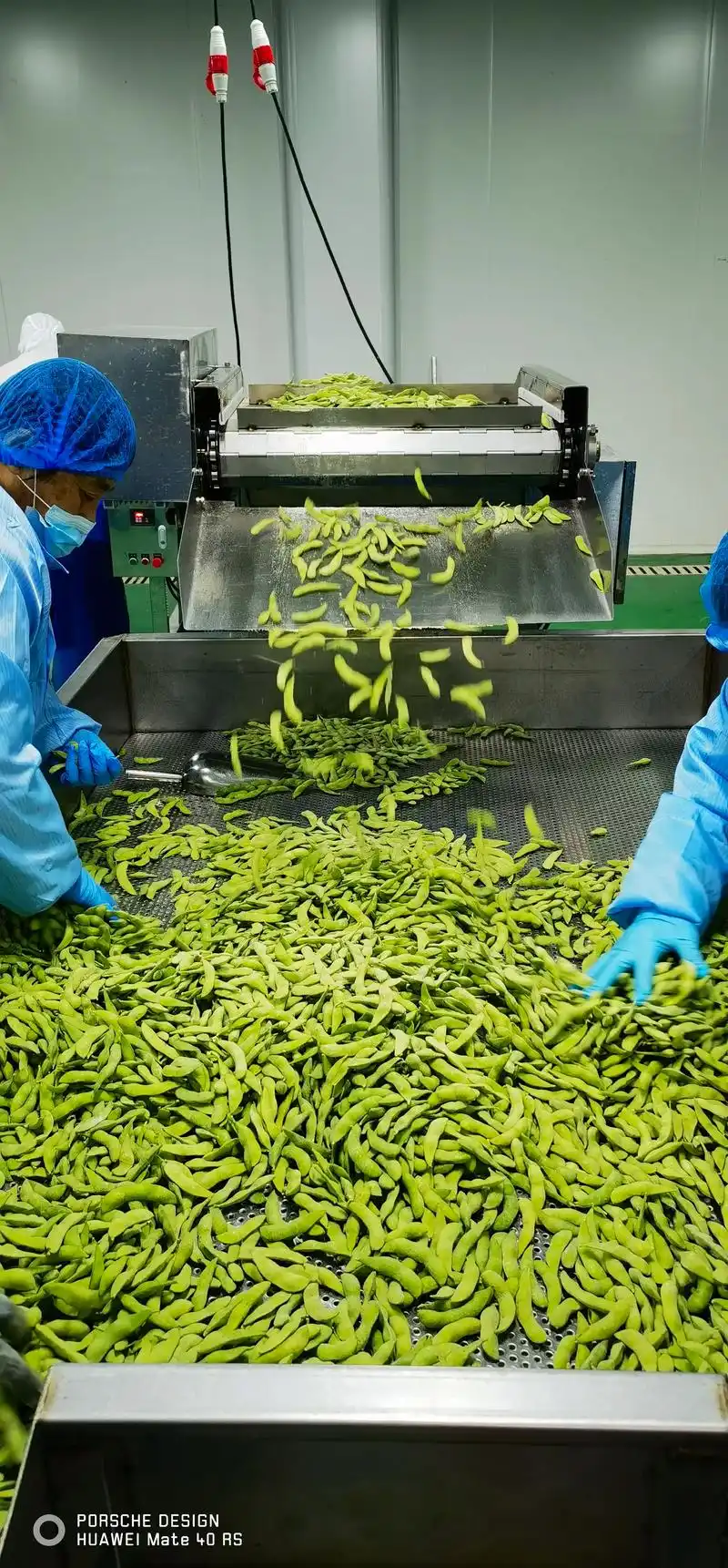 从3.15晚会看食品加工规范与食品安全