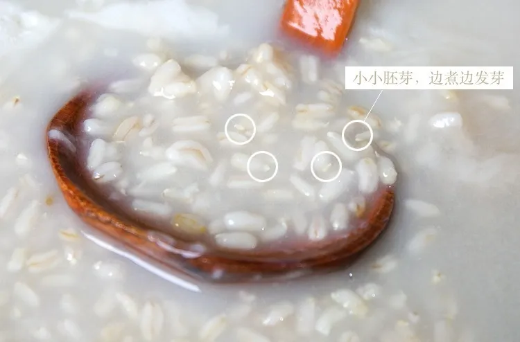 当餐优选食材裸燕麦胚芽米,边煮边发芽,有草原药粮之称!