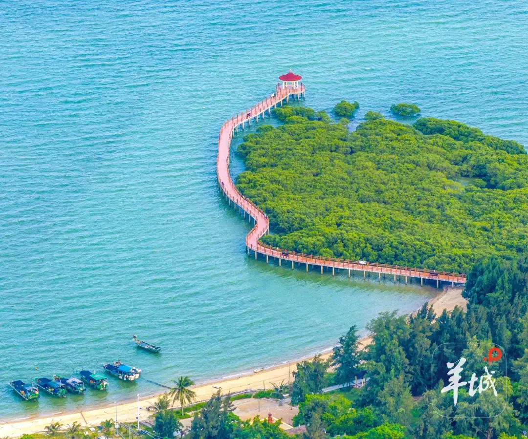 去湛江吃年例,触摸港城的烟火与诗意