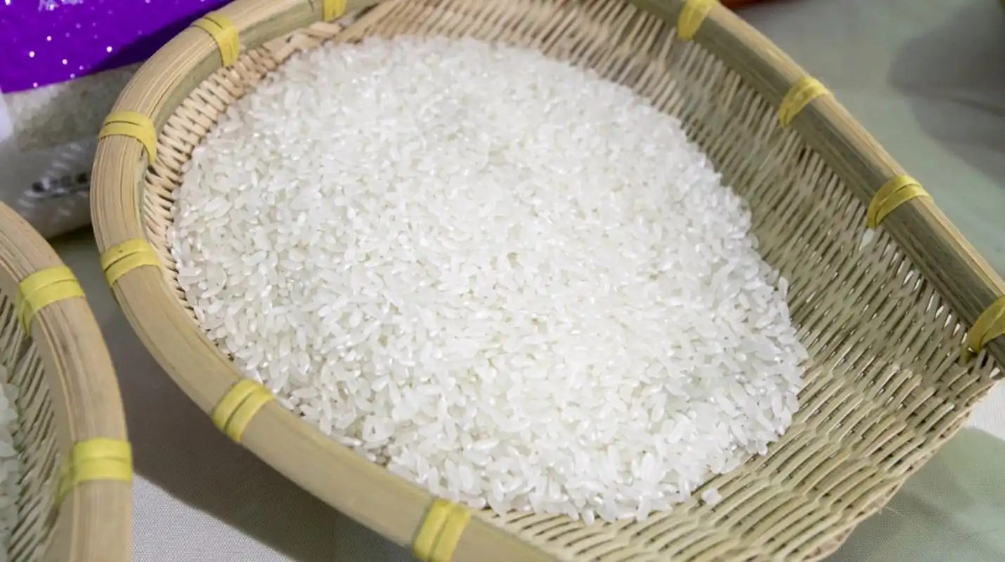 2025年大米批发价格走势