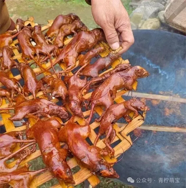 福建的6种另类美食,黑暗料理界的天花板