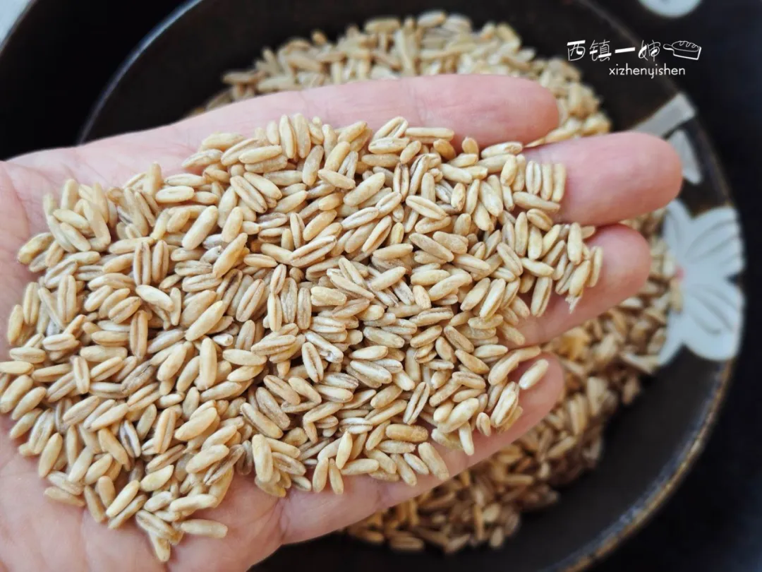 当餐优选食材裸燕麦胚芽米,边煮边发芽,有草原药粮之称!