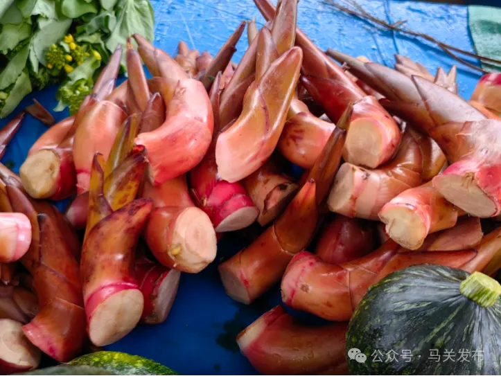 草果芽拌山珍,藏着马关的另一半“吃春”气息
