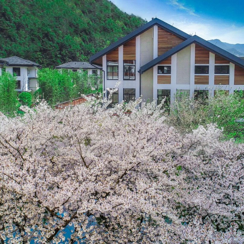 酒店私藏药膳坊,食材为养,食以安身润日常