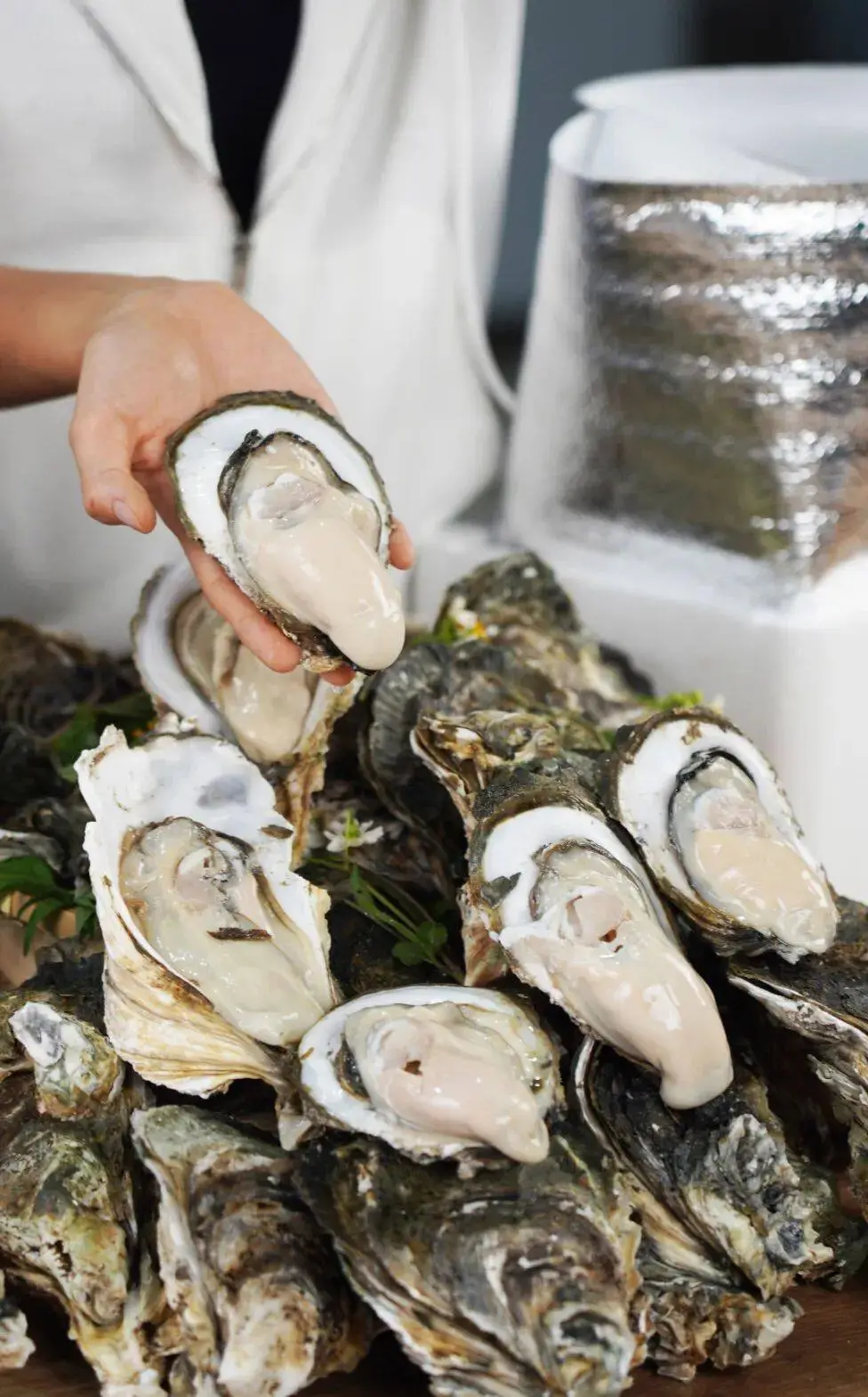 去湛江吃年例,触摸港城的烟火与诗意