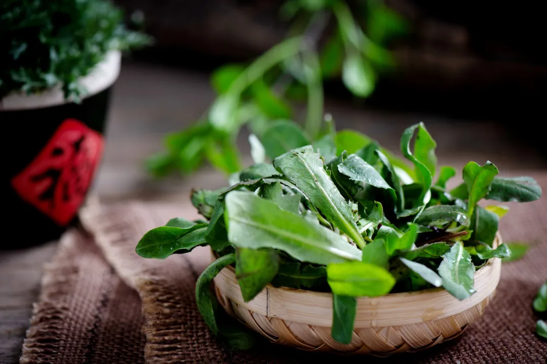 惊蛰时节话春日饮食养生