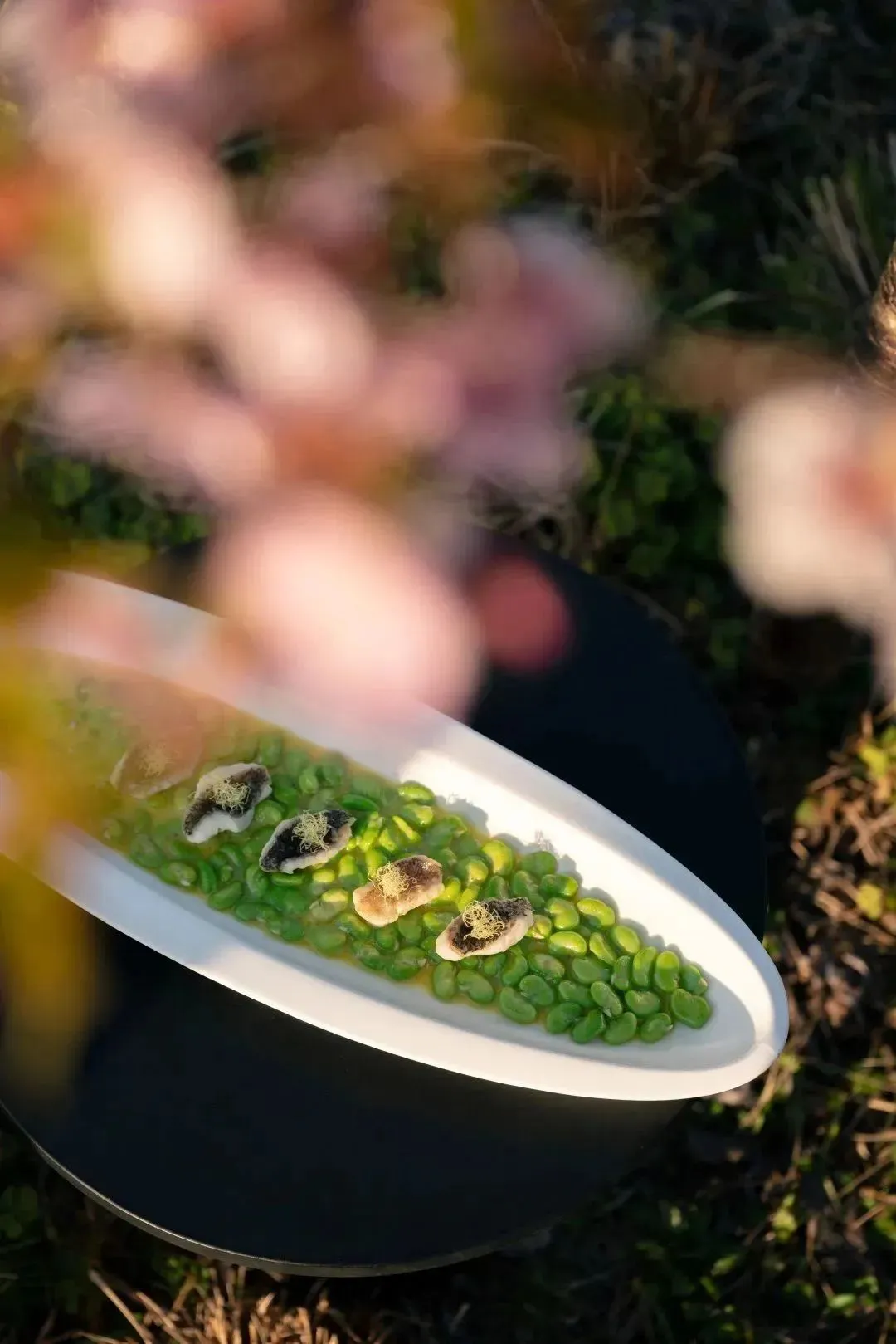 当餐美食春菜上新,春鲜的融合与变化