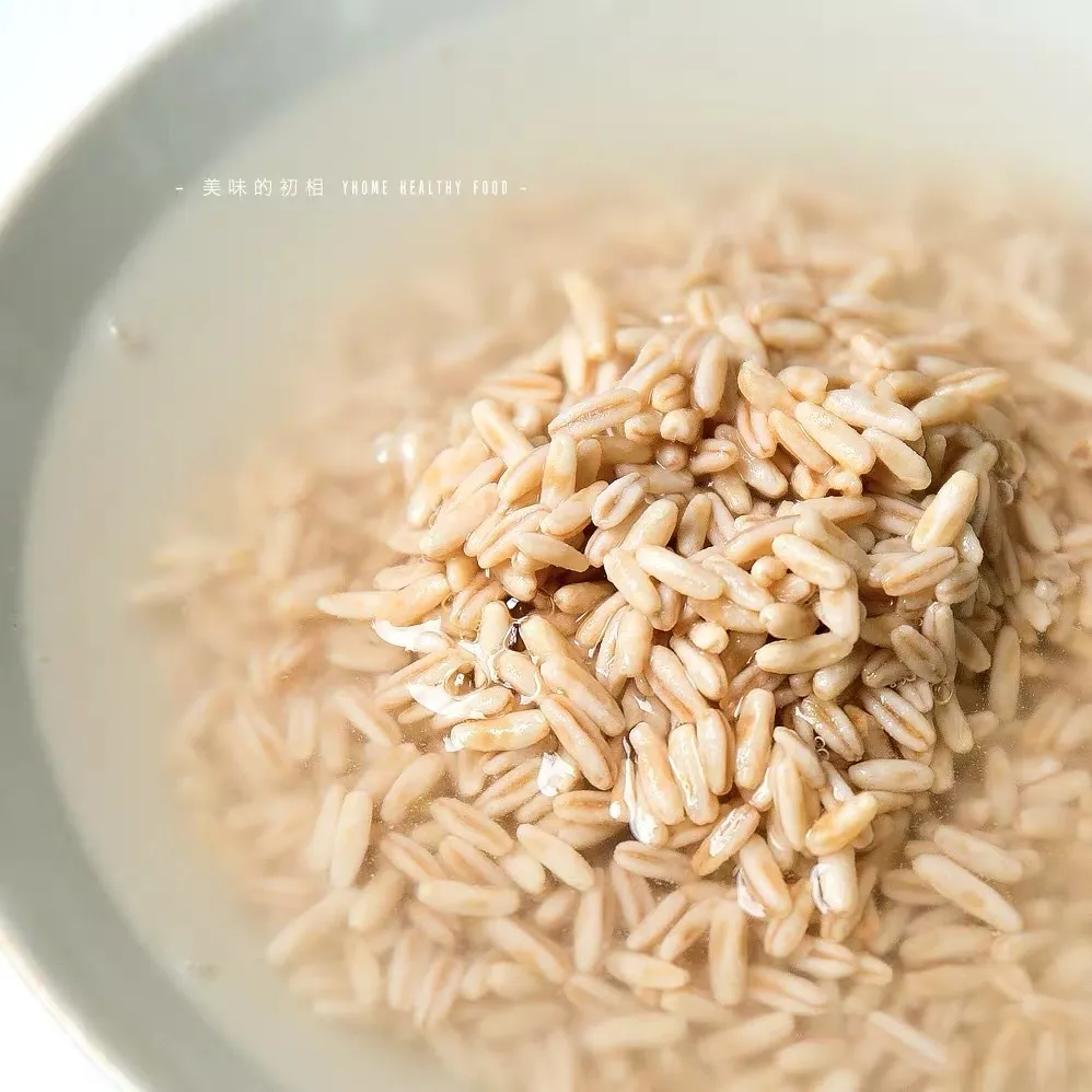 当餐优选食材裸燕麦胚芽米,边煮边发芽,有草原药粮之称!