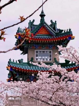 高铁直达!早春3月美食之旅的4个城市,暖和又好吃,嘴馋了就去尝鲜!!