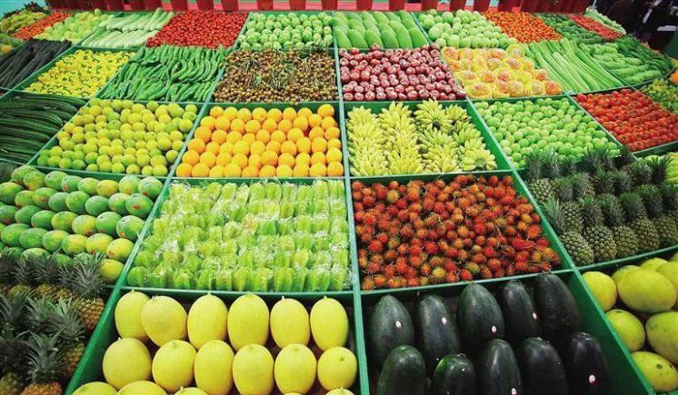 数字技术驱动农产品区域公用品牌“公地悲剧”治理机制研究