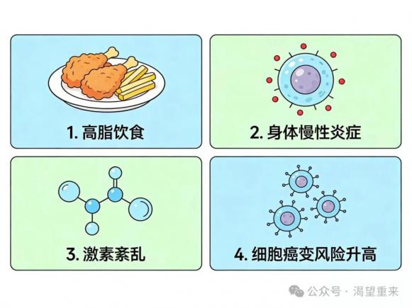 别让高脂饮食“喂”出癌症！少吃油腻，真的能防癌