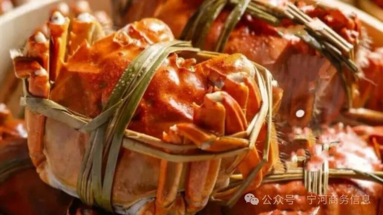 七里海的风景在眼里,宁河的味道在碗里