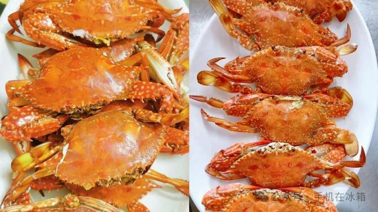 在湛江必吃的美食——遂溪篇