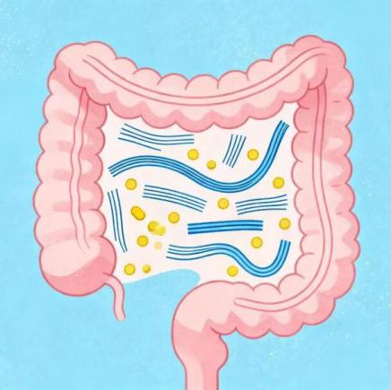 研究证实：高盐饮食正在「攻击」您的免疫系统！