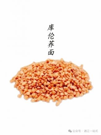 八珍味美食交融|舌尖上的科尔沁文化交响