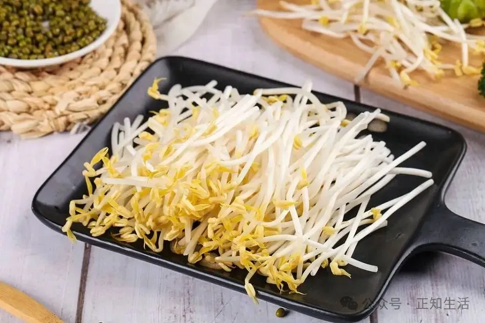 春季必吃「超级生命力食材」!鲜嫩芽苗菜,应季吃正合适