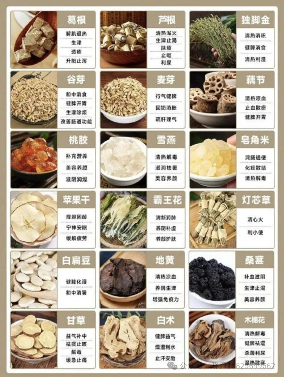 广东祛湿食材盘点