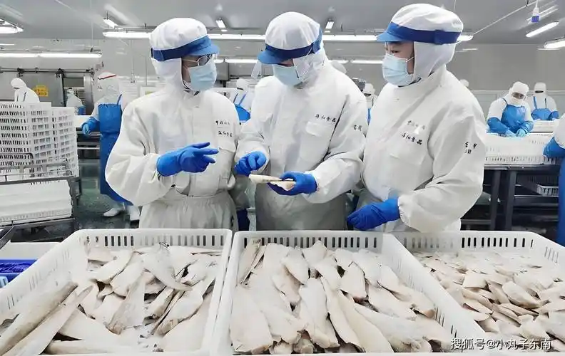 当餐水产调理食品及深加工制品研报