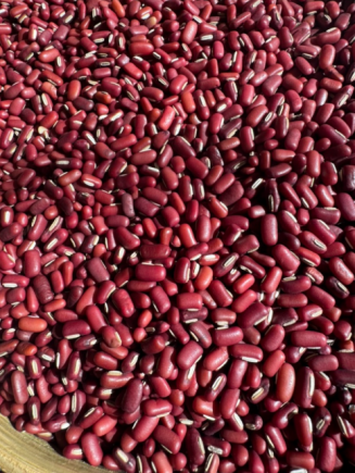 小小的豆子，原来还能这样