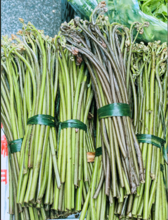 蕨菜又称"龙头菜"、"如意菜"