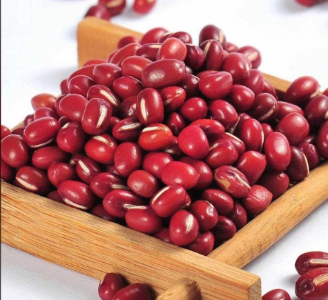 红豆又名相思豆