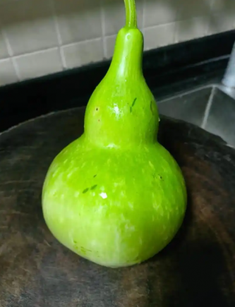 葫芦瓜（学名：Lagenaria siceraria，又称瓠瓜、蒲瓜、长瓜）是一种营养丰富的瓜类蔬菜