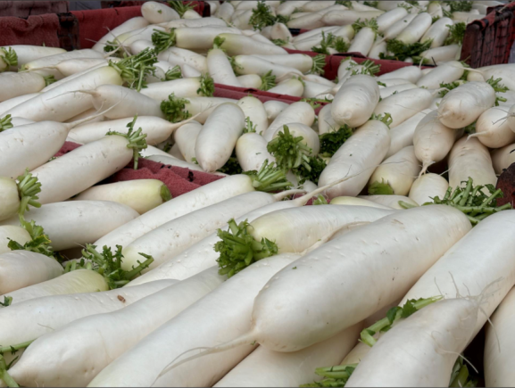 萝卜作为中国传统的药食同源蔬菜，享有"秋冬小人参"的美誉。