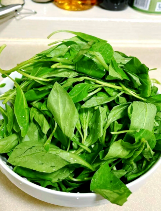 枸杞可以泡茶煮汤，枸杞叶还可以吃