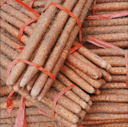 这个铁棍不好看，但"它“是真的好吃