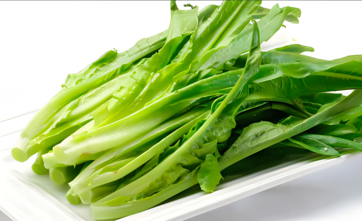 油麦菜又称"凤尾菜"或"苦苣"