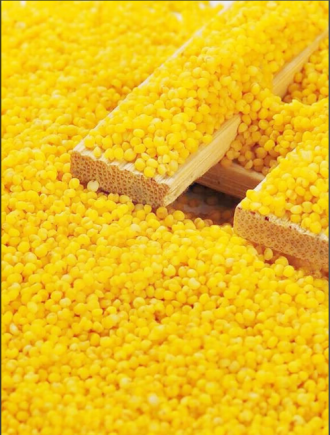 小米海参里面的小米原来作用这么大