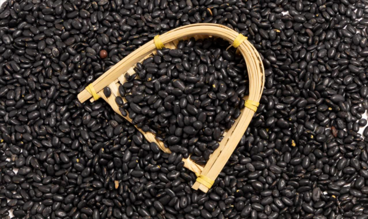 小小黑豆，又好吃又有营养