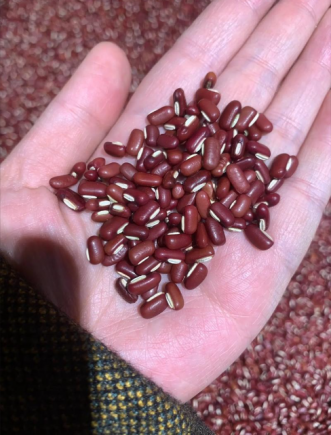 小小的豆子，原来还能这样