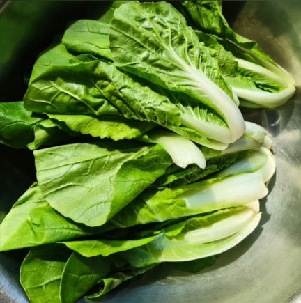 小白菜，又称青菜、油白菜、胶菜