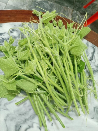 南瓜苗清脆爽口，比南瓜好吃