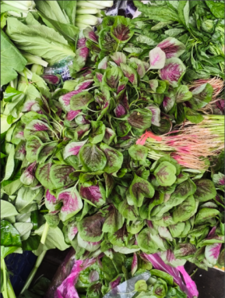 苋菜，作为"夏季第一菜"和"长寿菜"