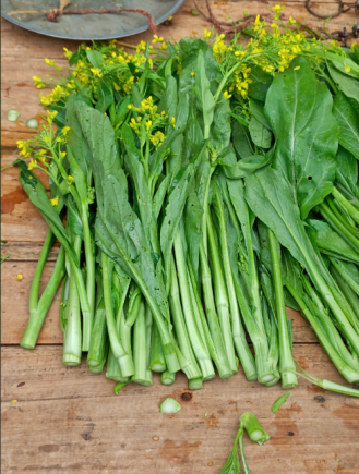 菜心，又称广东菜心、白菜苔