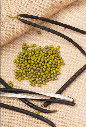 绿豆可以煮汤，可以煮糖水，作用多多