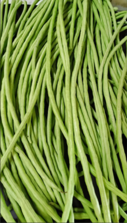 豆角作为一种常见蔬菜，其营养价值远超普通绿叶菜