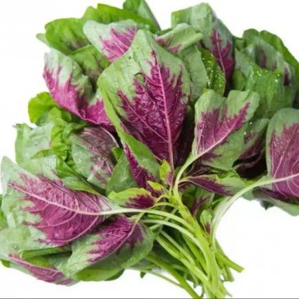 苋菜，作为"夏季第一菜"和"长寿菜"