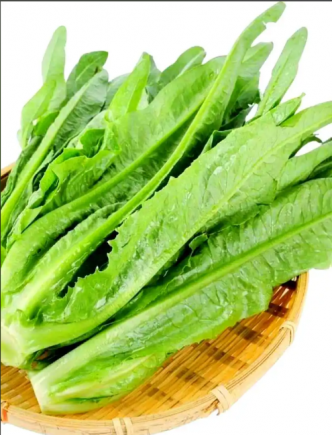 油麦菜又称"凤尾菜"或"苦苣"