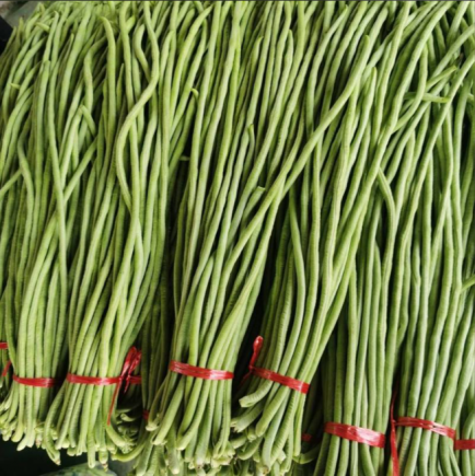 豆角作为一种常见蔬菜，其营养价值远超普通绿叶菜