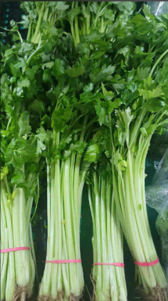 芹菜有药用价值